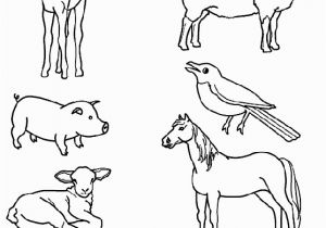 Spring Baby Animal Coloring Pages Match the Baby Animals to their Parents by Drawing Lines with