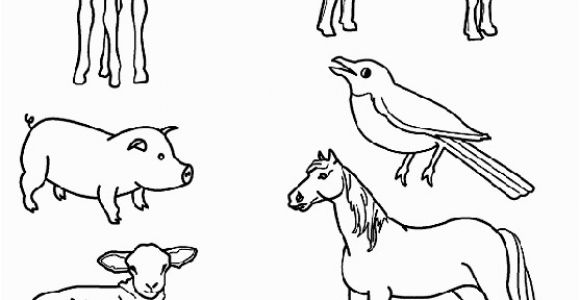 Spring Baby Animal Coloring Pages Match the Baby Animals to their Parents by Drawing Lines with