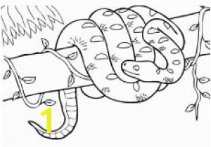 Spring Baby Animal Coloring Pages top 25 Free Printable Snake Coloring Pages Line