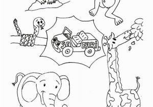 Spring Baby Animal Coloring Pages Wild Animal Coloring Pages Animal Coloring Pages