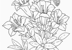 Spring Coloring Pages Printable Printable Coloring Pages Spring Frog Coloring Pages Fresh Frog