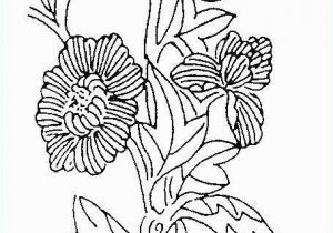 Spring Flowers Coloring Pages Coloring Page Printout Inspirational Spring Flowers Coloring