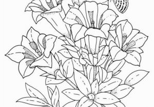 Spring Flowers Coloring Pages for Adults Spring Flowers Coloring Page Flowers Cloring Pages Printable