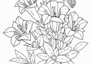 Spring Flowers Coloring Pages Spring Flowers Coloring Page Flowers Coloring Page Printable