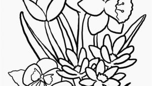 Spring Flowers Colouring Pages 13 Elegant Spring Flowers Coloring Pages