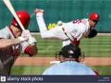 St Louis Cardinals Coloring Pages Lohse Stock S & Lohse Stock Page 3 Alamy