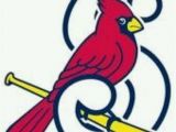 St Louis Cardinals Coloring Pages Springfield Cardinals