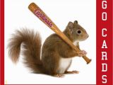 St Louis Cardinals Coloring Pages St Louis Cardinals Rally Squirrel