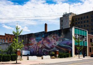 St Louis Wall Murals Public Art Offers Morale Boost to Cities Of All Sizes