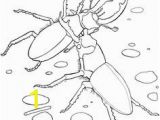 Stag Beetle Coloring Page 140 Best Stag Images