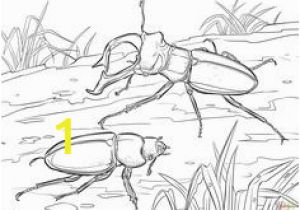 Stag Beetle Coloring Page 140 Best Stag Images