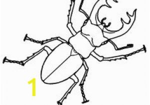 Stag Beetle Coloring Page 140 Best Stag Images