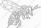 Stag Beetle Coloring Page Bee Honeybee 3 Coloring Pages Animal Coloring Book Pages