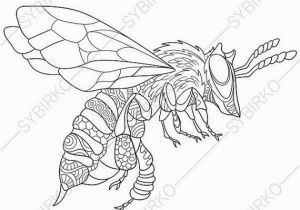 Stag Beetle Coloring Page Bee Honeybee 3 Coloring Pages Animal Coloring Book Pages