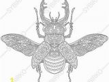 Stag Beetle Coloring Page Coloring Pages for Adults Honeybee Honey Bee Bumblebee