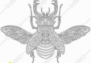 Stag Beetle Coloring Page Coloring Pages for Adults Honeybee Honey Bee Bumblebee
