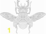 Stag Beetle Coloring Page Ilustraciones Imágenes Y Vectores De Stock sobre Bug
