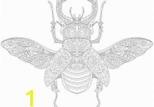 Stag Beetle Coloring Page Ilustraciones Imágenes Y Vectores De Stock sobre Bug