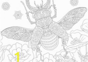 Stag Beetle Coloring Page Ilustraciones Imágenes Y Vectores De Stock sobre Bug