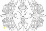 Stag Beetle Coloring Page Printable Adult Coloring Page Mandala Insects Moths Beetles
