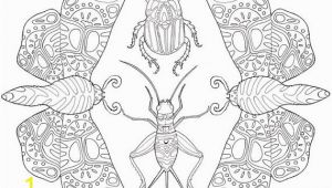 Stag Beetle Coloring Page Printable Adult Coloring Page Mandala Insects Moths Beetles