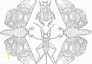 Stag Beetle Coloring Page Printable Adult Coloring Page Mandala Insects Moths Beetles