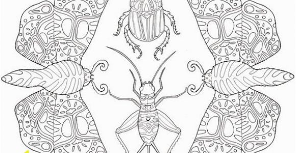 Stag Beetle Coloring Page Printable Adult Coloring Page Mandala Insects Moths Beetles