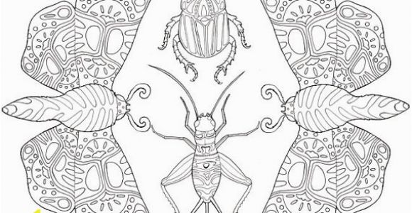Stag Beetle Coloring Page Printable Adult Coloring Page Mandala Insects Moths Beetles
