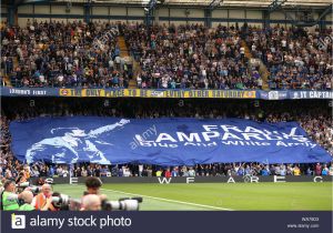 Stamford Bridge Wall Mural Chelsea Celebrating Stock S & Chelsea Celebrating Stock