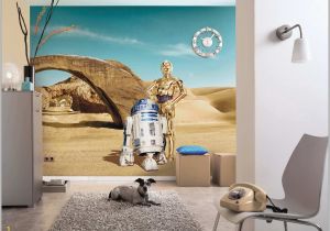 Star Wars Murals Wallpaper Bedroom Wallpaper Murals Pretty Star Wars Home Decorations New Wall