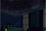 Starry Night Sky Murals Glow In the Dark Night Sky Mural Stars Constellations Milky Way 5 Ft