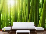 Startonight Mural Wall Art Mural Wall Art Decor Green Bamboo Startonight 8 Feet 4 Inch by 12 Feet