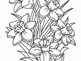 Summer Flower Coloring Pages Daffodils