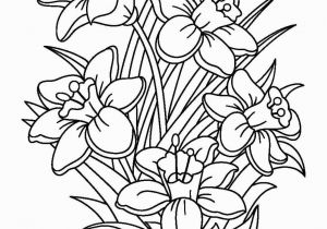 Summer Flower Coloring Pages Daffodils