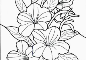 Sunflower Printable Coloring Pages Flower Coloring Book Pages New Vases Flower Vase Coloring Page Pages