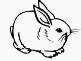 Sunny Bunnies Coloring Pages 648 Bunnies Free Clipart 4