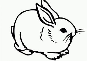 Sunny Bunnies Coloring Pages 648 Bunnies Free Clipart 4