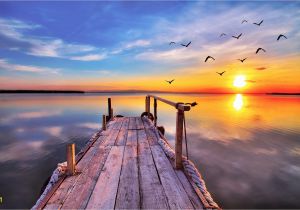 Sunset Wall Mural Painting Early Bird Dock Fly by Sunrise Sunset