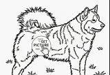 Superman Christmas Coloring Pages Superman Christmas Coloring Pages Coloring Pages Coloring Pages