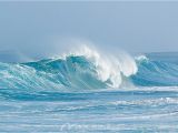 Surf Wave Wall Mural Wave & Surfing Murals Wall Murals Of Ocean Waves at