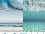 Surfing Wall Murals Posters Focal Point Ocean Art Sun Sand & Surf In 2019