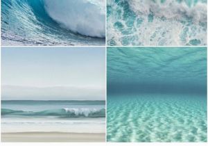 Surfing Wall Murals Posters Focal Point Ocean Art Sun Sand & Surf In 2019