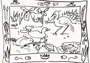 Swamp Animals Coloring Pages 35 Awesome Easy Animal Coloring Pages