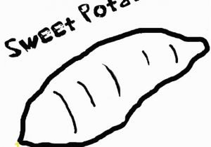 Sweet Potato Coloring Page Sweet Potato Coloring Page & Coloring Book