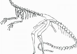 T Rex Skeleton Coloring Page Free Printable Coloring Pages Dinosaurs T Rex Skeleton Coloring