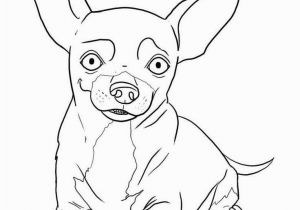 Teacup Chihuahua Coloring Pages Chihuahua Coloring Pages Awesome 8 Best Chihuahuas