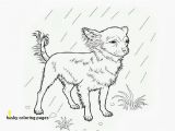 Teacup Chihuahua Coloring Pages Chihuahua Coloring Pages Awesome 8 Best Chihuahuas