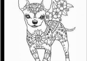 Teacup Chihuahua Coloring Pages Chihuahua Coloring Pages Awesome 8 Best Chihuahuas