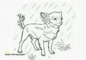 Teacup Chihuahua Coloring Pages Chihuahua Coloring Pages Awesome 8 Best Chihuahuas