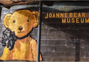 Teddy Bear Wall Mural Joanne Bear Museum Picture Of Joanne Bear Museum Seogwipo